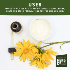 MONTEREY BAY HERB CO arnica salve jar being applied, highlights topical product usability