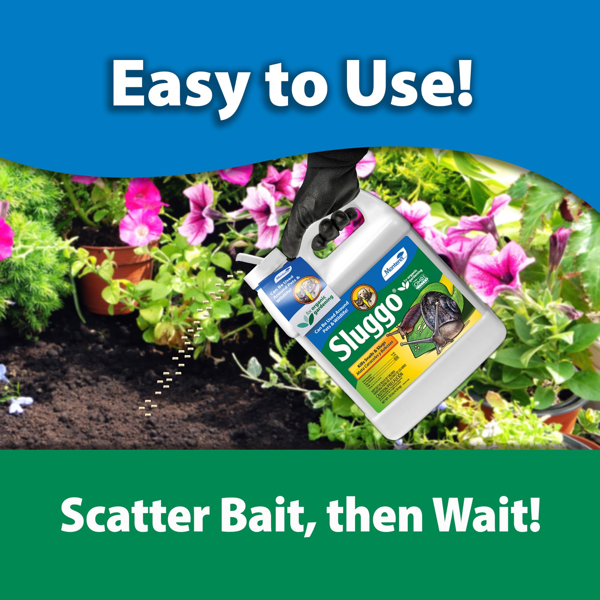 Monterey granules applied near plant base protecting leaves from slugs