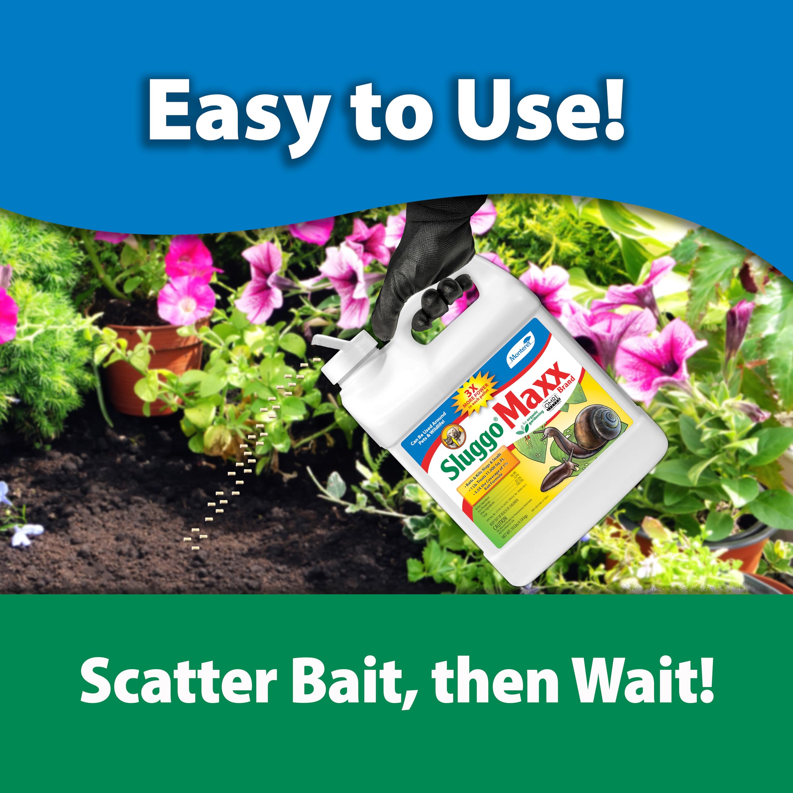 Monterey Sluggo Maxx being applied in a garden to protect plants