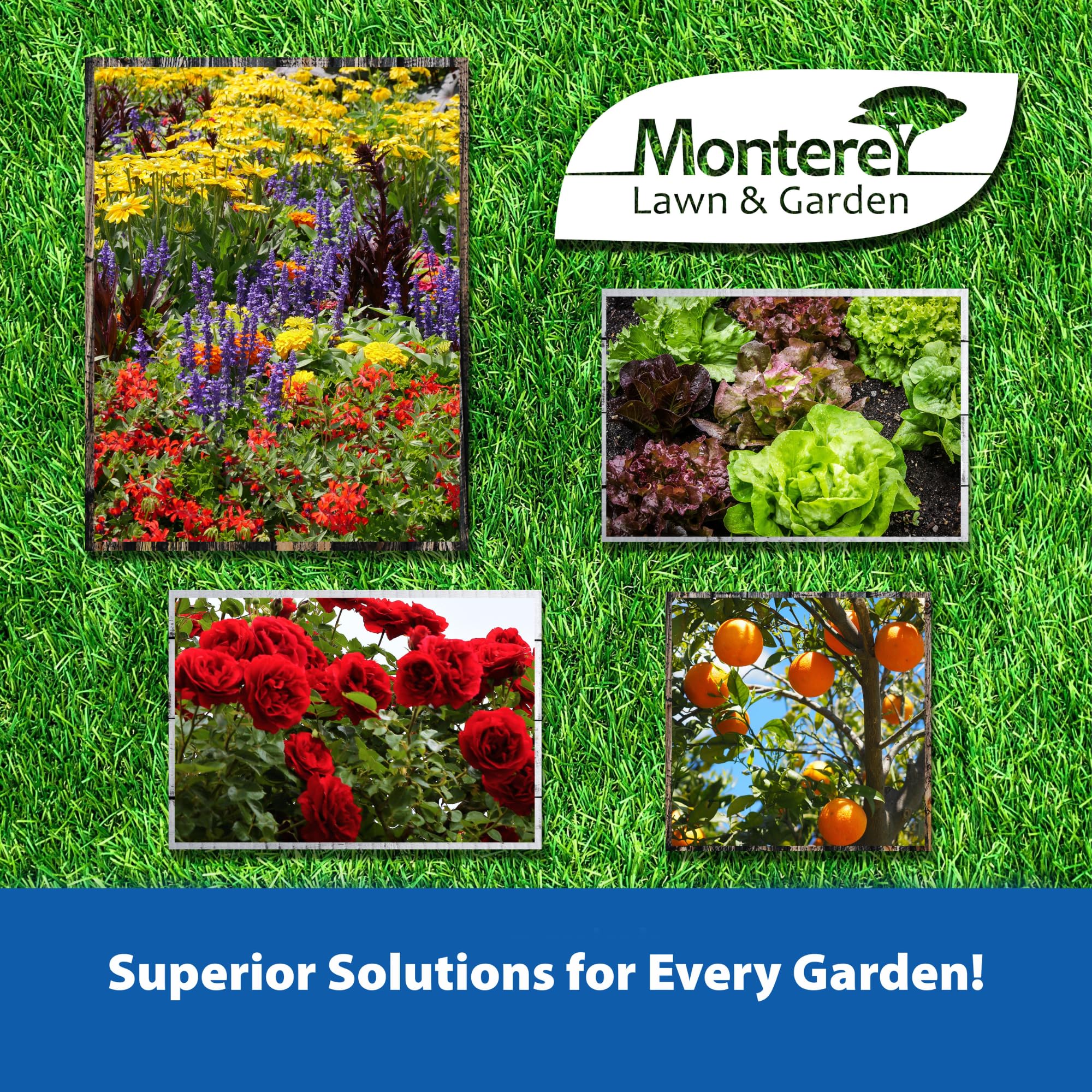 Gardener applying Monterey Sluggo Maxx bait showing easy targeted use
