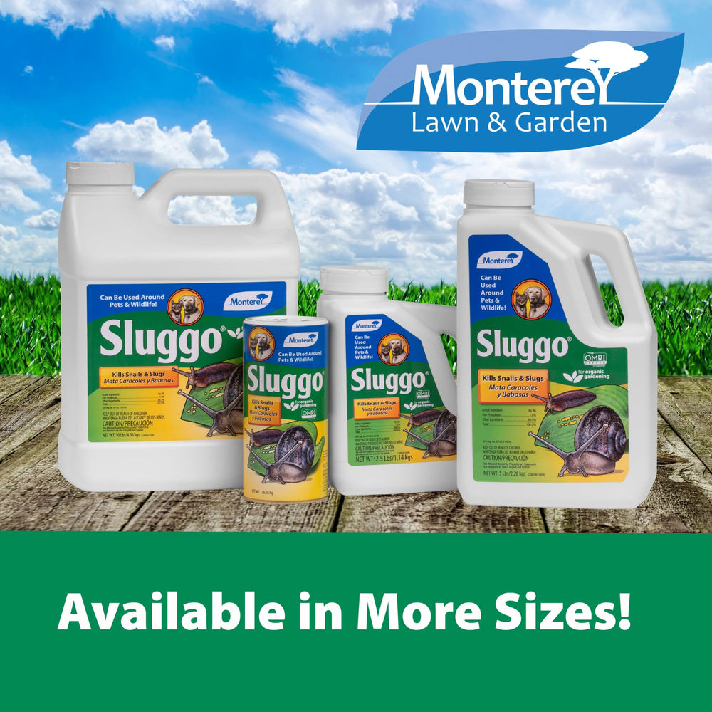 Monterey being broadcast with spreader for even garden coverage