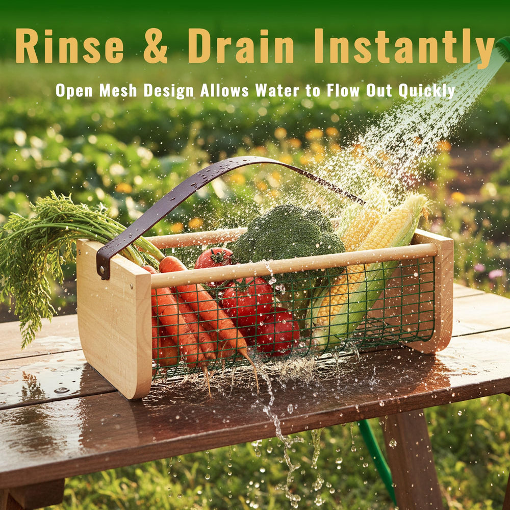 Montex harvest basket in garden setting demonstrating durability and easy access