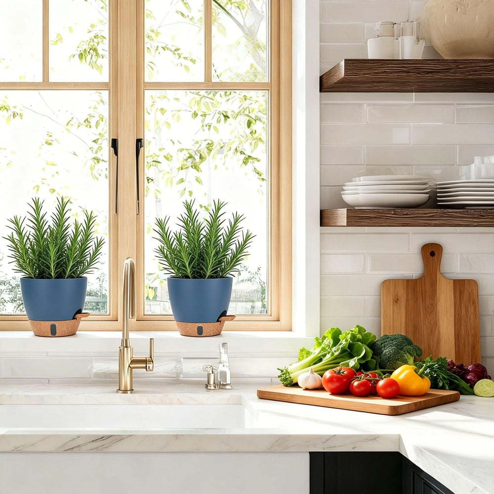 montresor tabletop display of planters adding decorative low-maintenance greenery