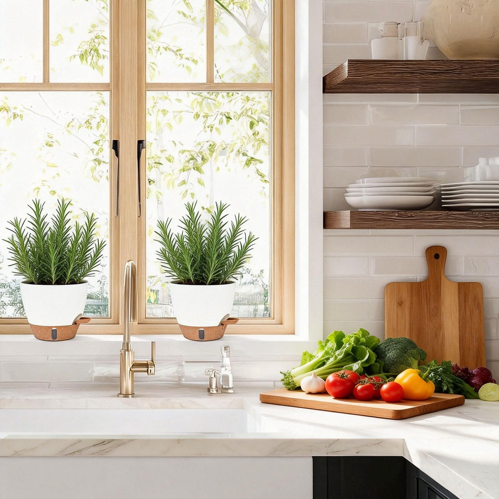 montresor detachable drip tray under pot showing clean surfaces and moisture control