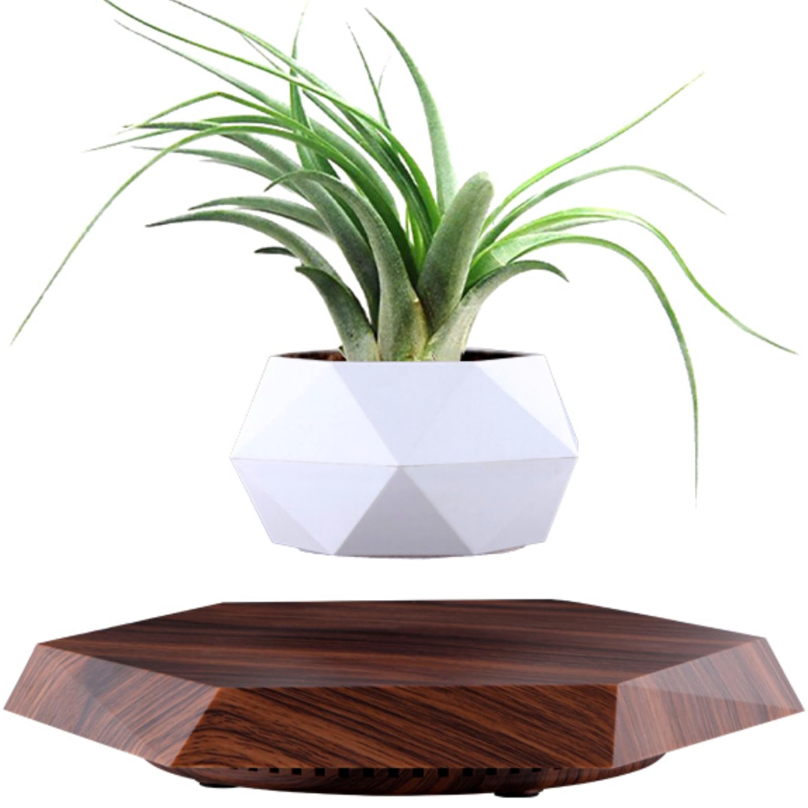 MOOCCI front view of levitating planter floating for modern decor benefit