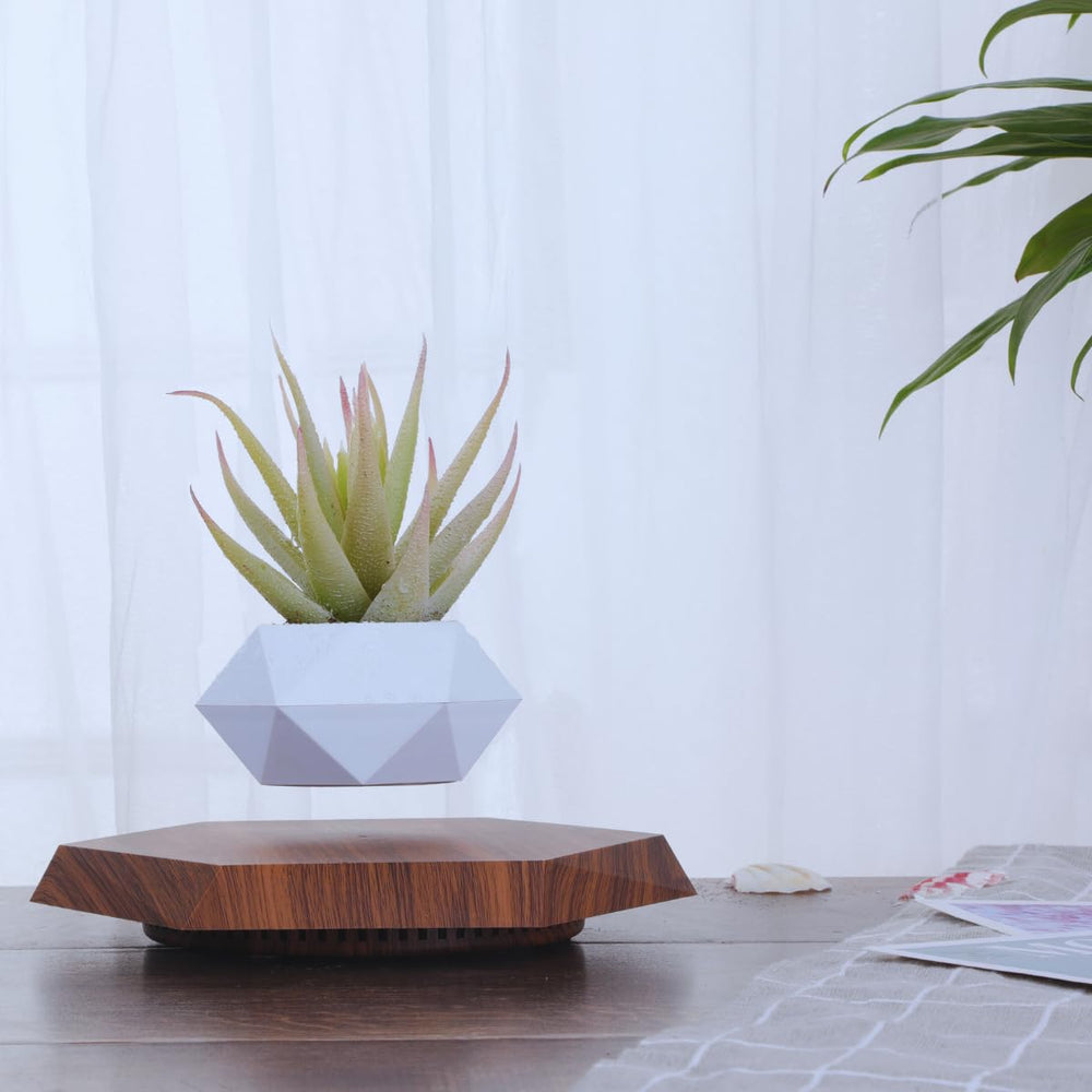 MOOCCI planter at night with soft glow highlighting ambient relaxation benefit