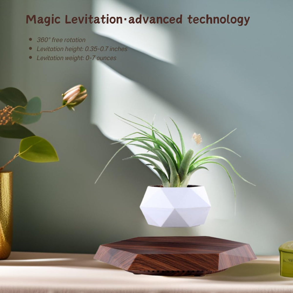 MOOCCI side profile showing sleek levitating planter enhancing workspace