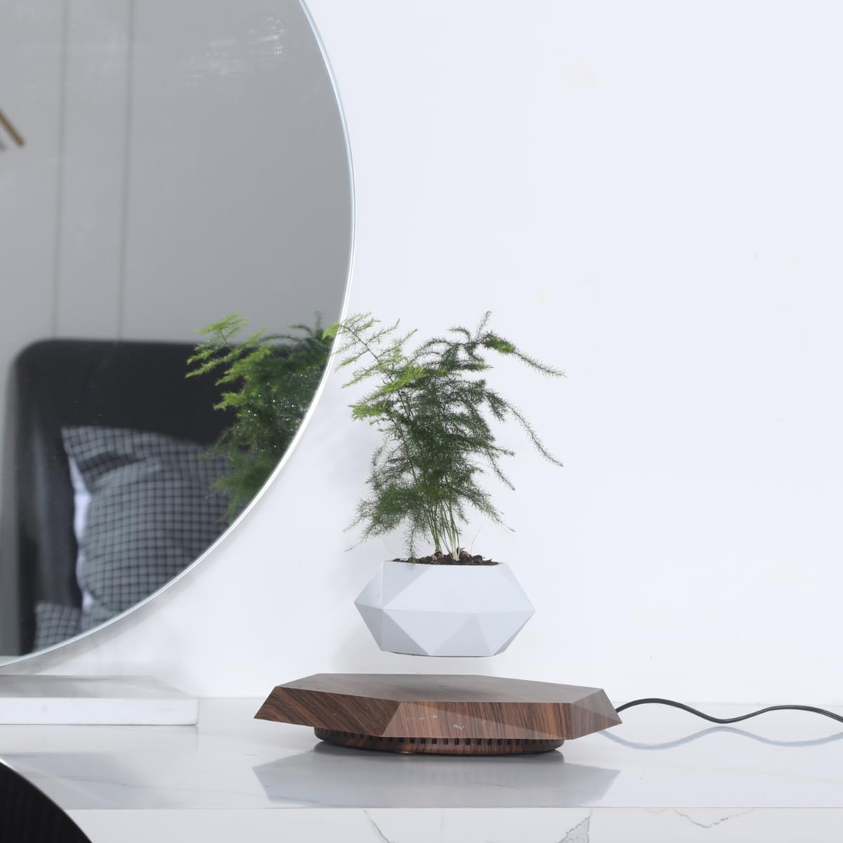 MOOCCI top view with succulent displaying full 360-degree light exposure benefit
