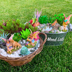 Mood Lab group placed in a planter showing fairy garden styling for instant charm benefit