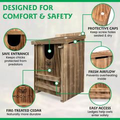 Moonity interior view showing roomy nesting space for chicks and comfort benefit