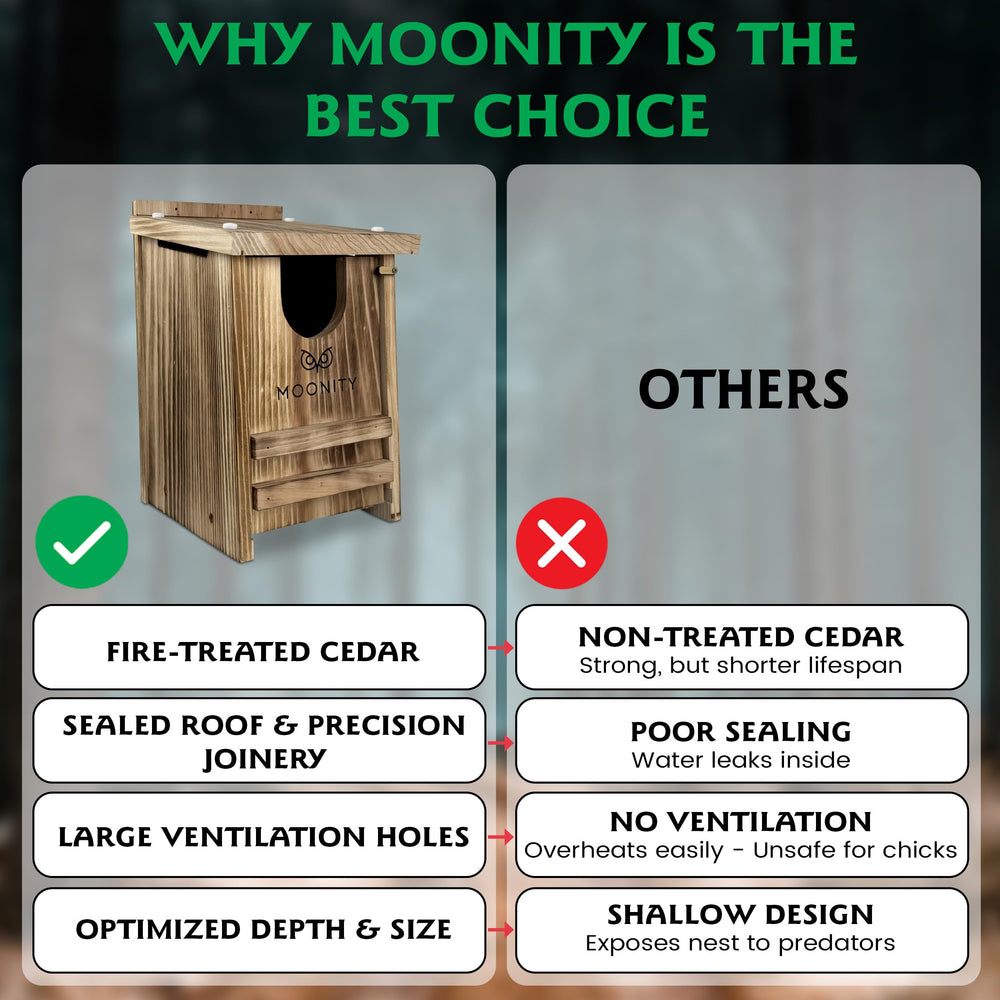 Moonity mounted in tree showing stable installation and habitat benefit