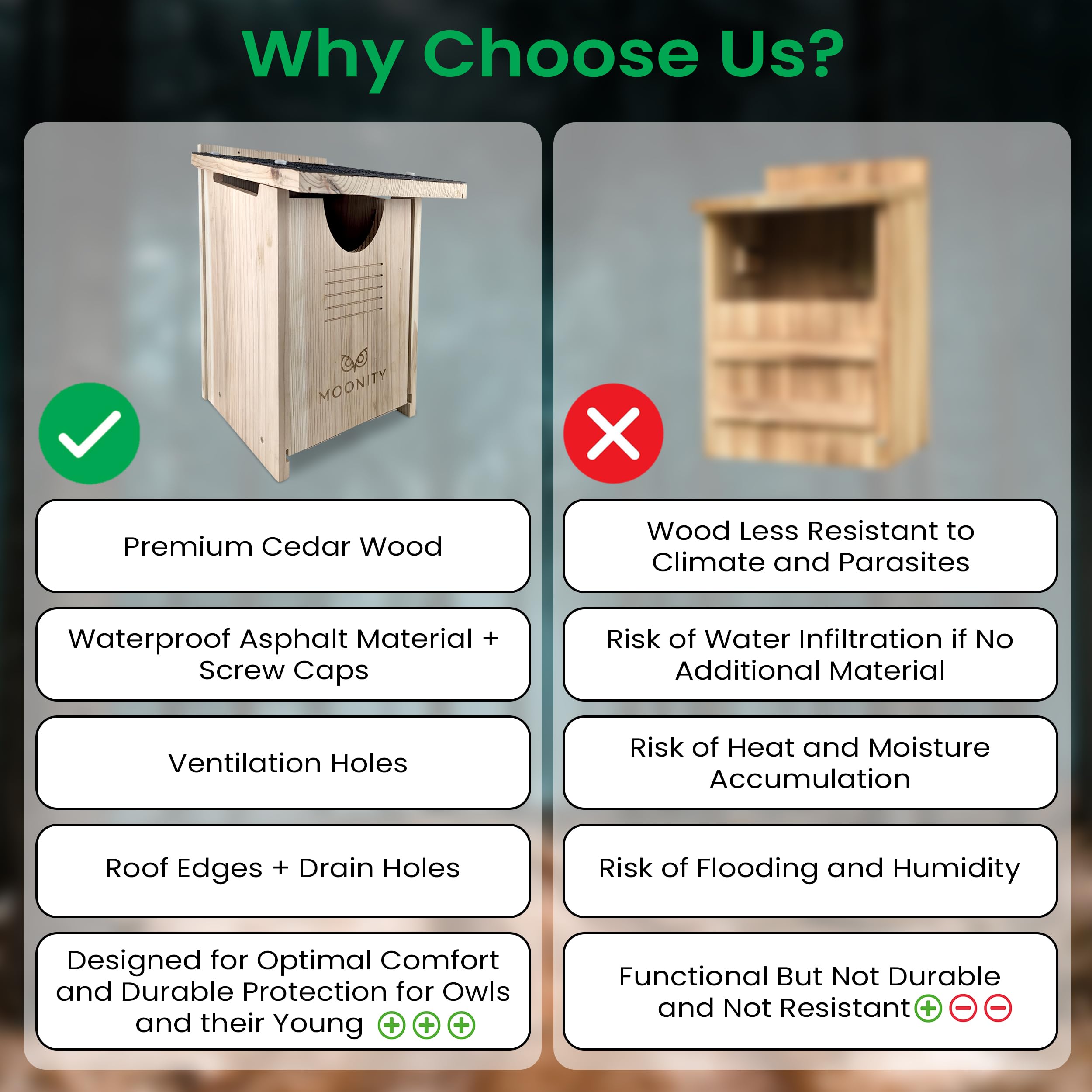 Moonity bird house mounted on tree providing elevated, safe nesting location