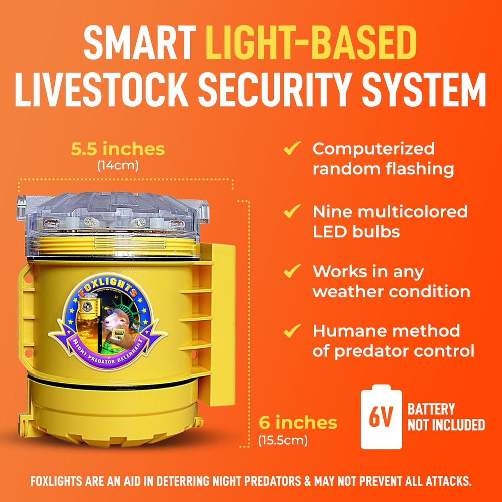 Mopet Marketplace Foxlights mounted on a chicken coop providing visible perimeter deterrence