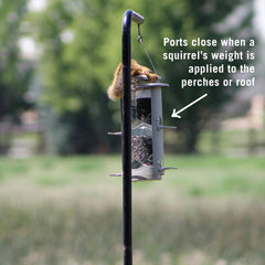 More Birds X-1 metal sliding sleeve close-up showing squirrel-blocking action