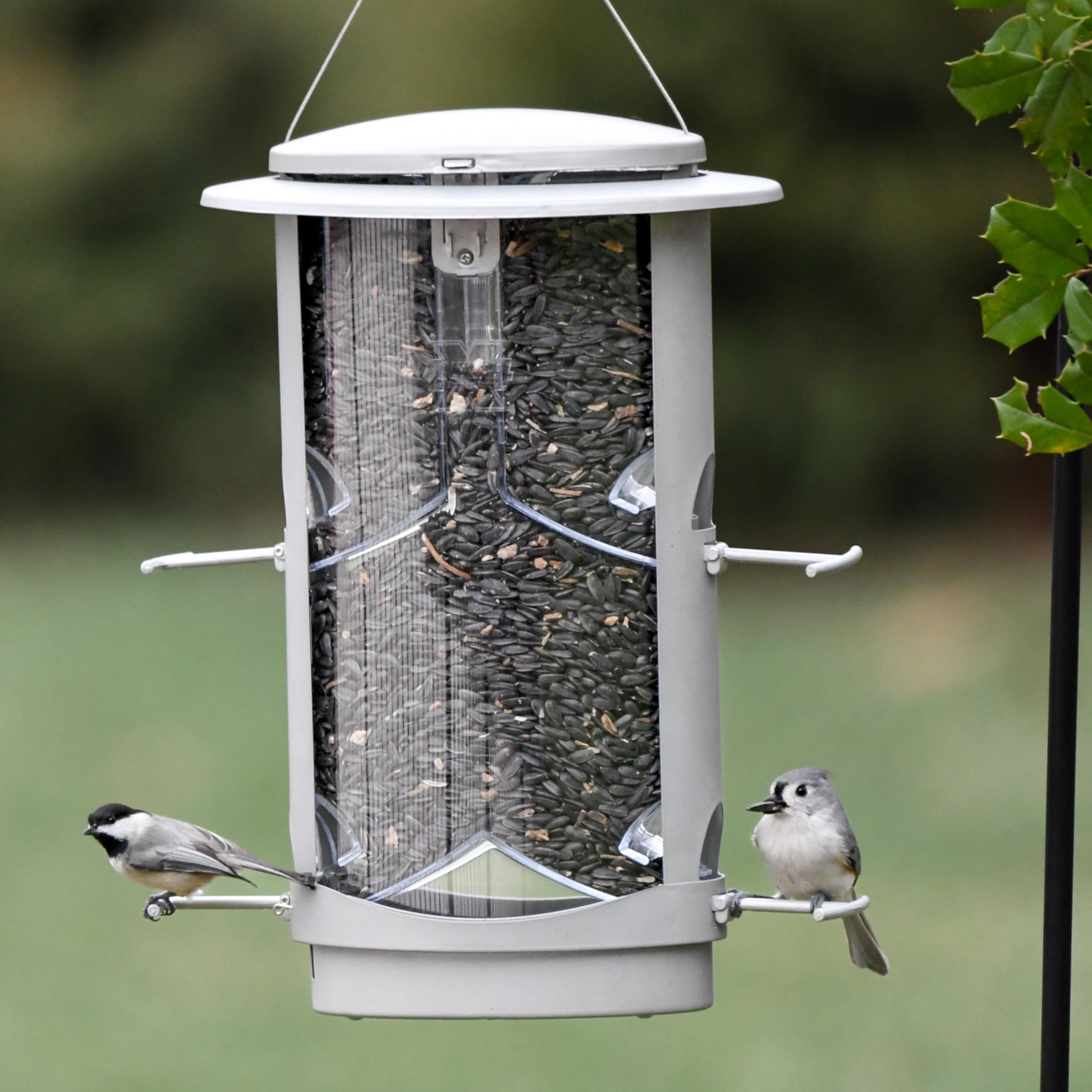 More Birds X-1 wide-mouth top filled with seed for quick easy refilling