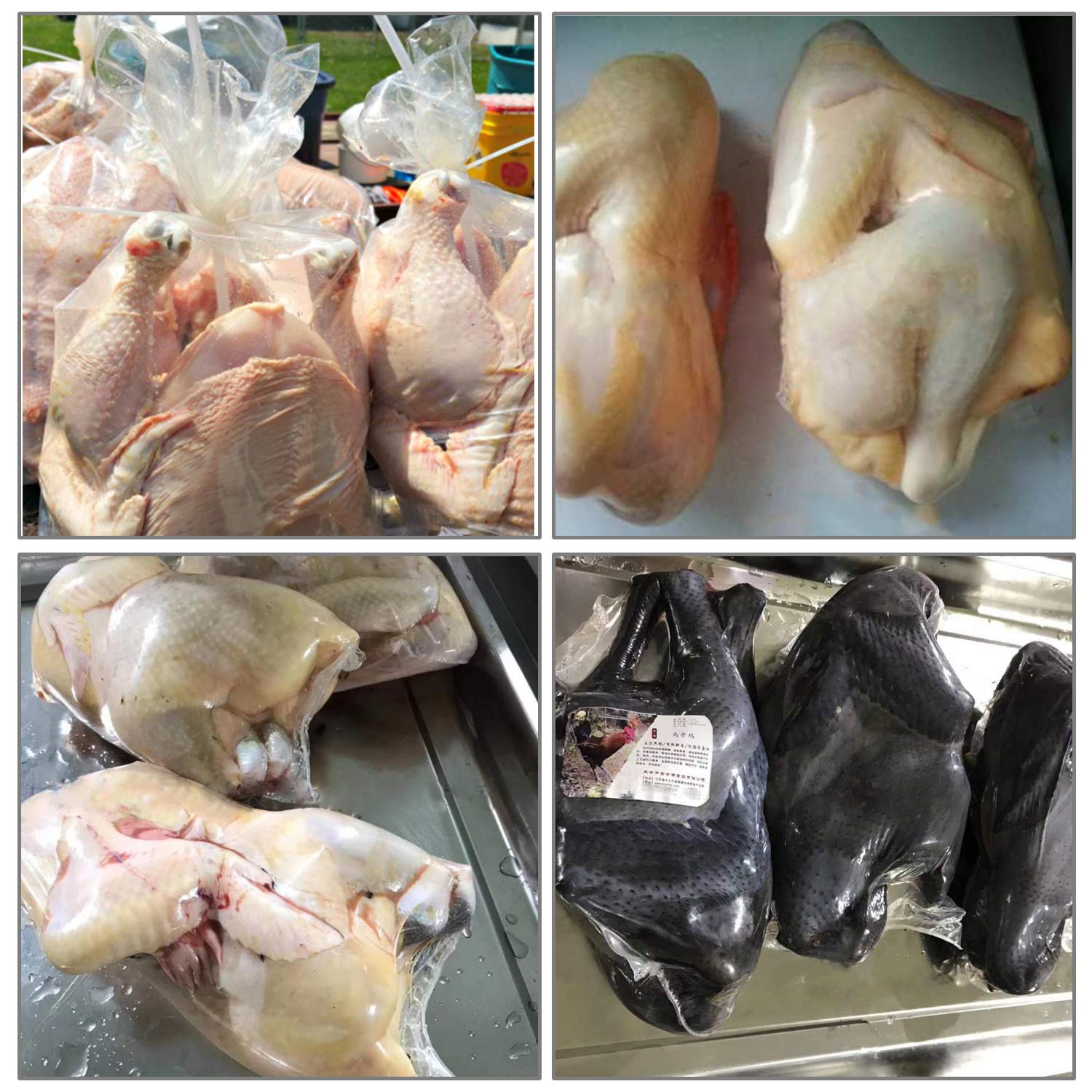 Morepack marinated poultry inside bag, demonstrating clean brining and flavor retention