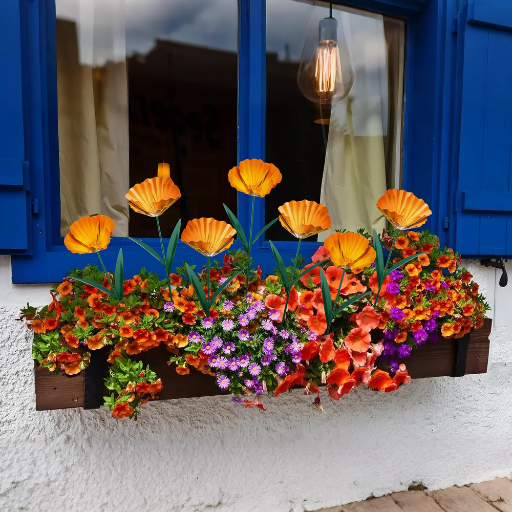 MorningRo staked securely in garden bed offering sturdy seasonal display