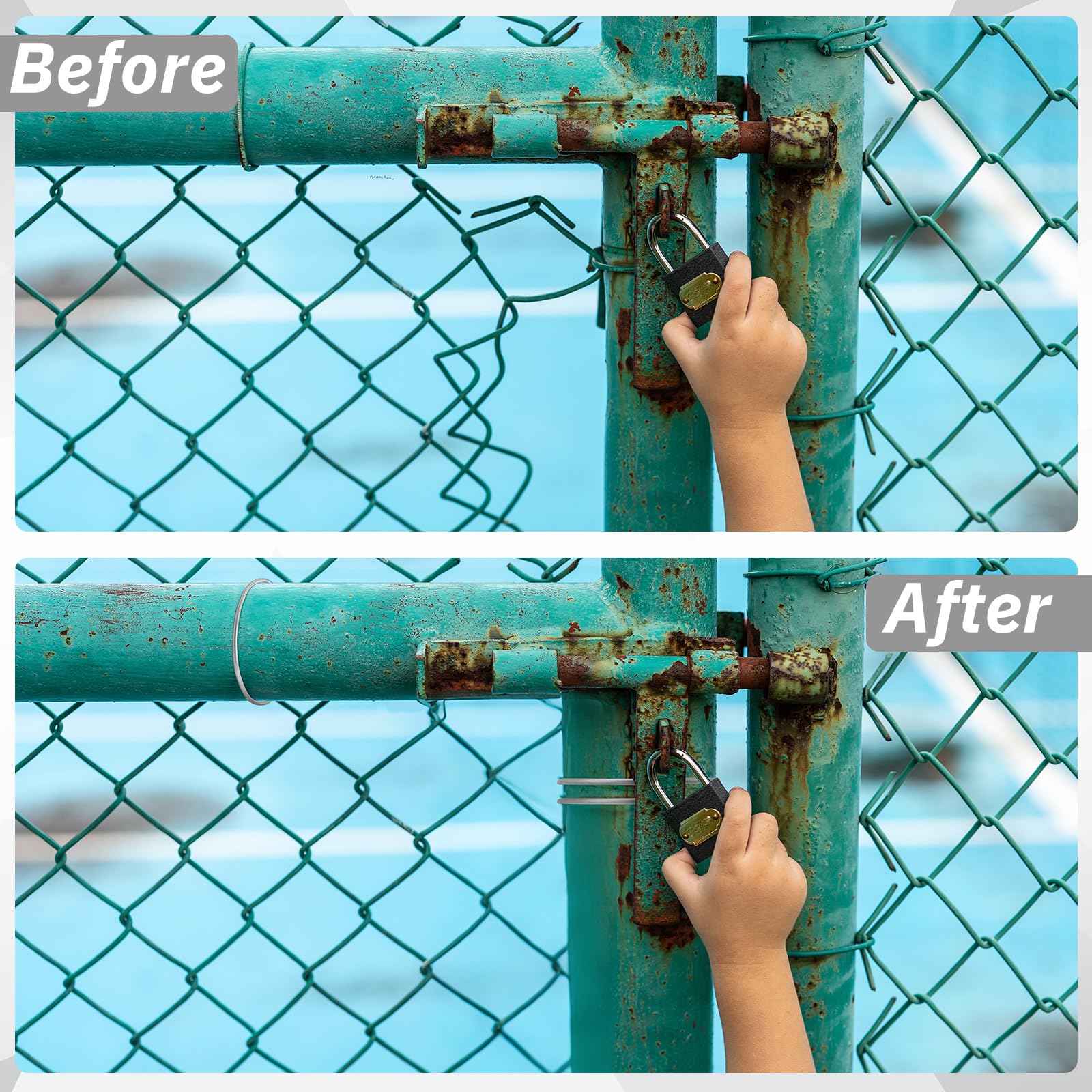 MorningRo tied to a chain-link top rail proving sturdy fence attachment