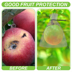 MorningRo mesh bag covering apple on branch preventing pests while allowing ripening