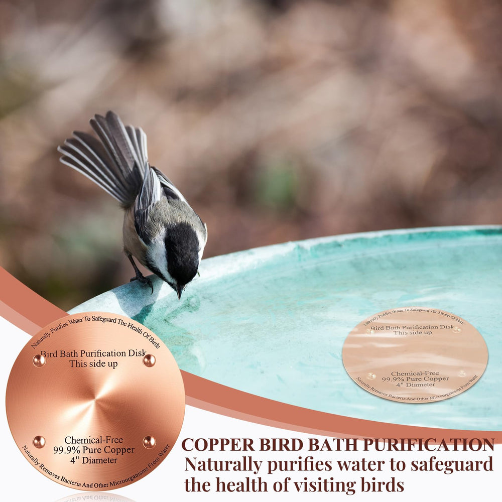 MorningRo discs placed in a birdbath demonstrating clearer water and low maintenance