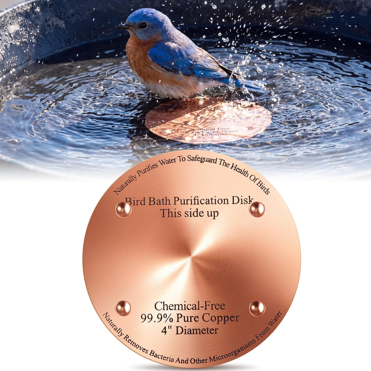 MorningRo front view of the eight copper discs, durable and ready to reduce algae