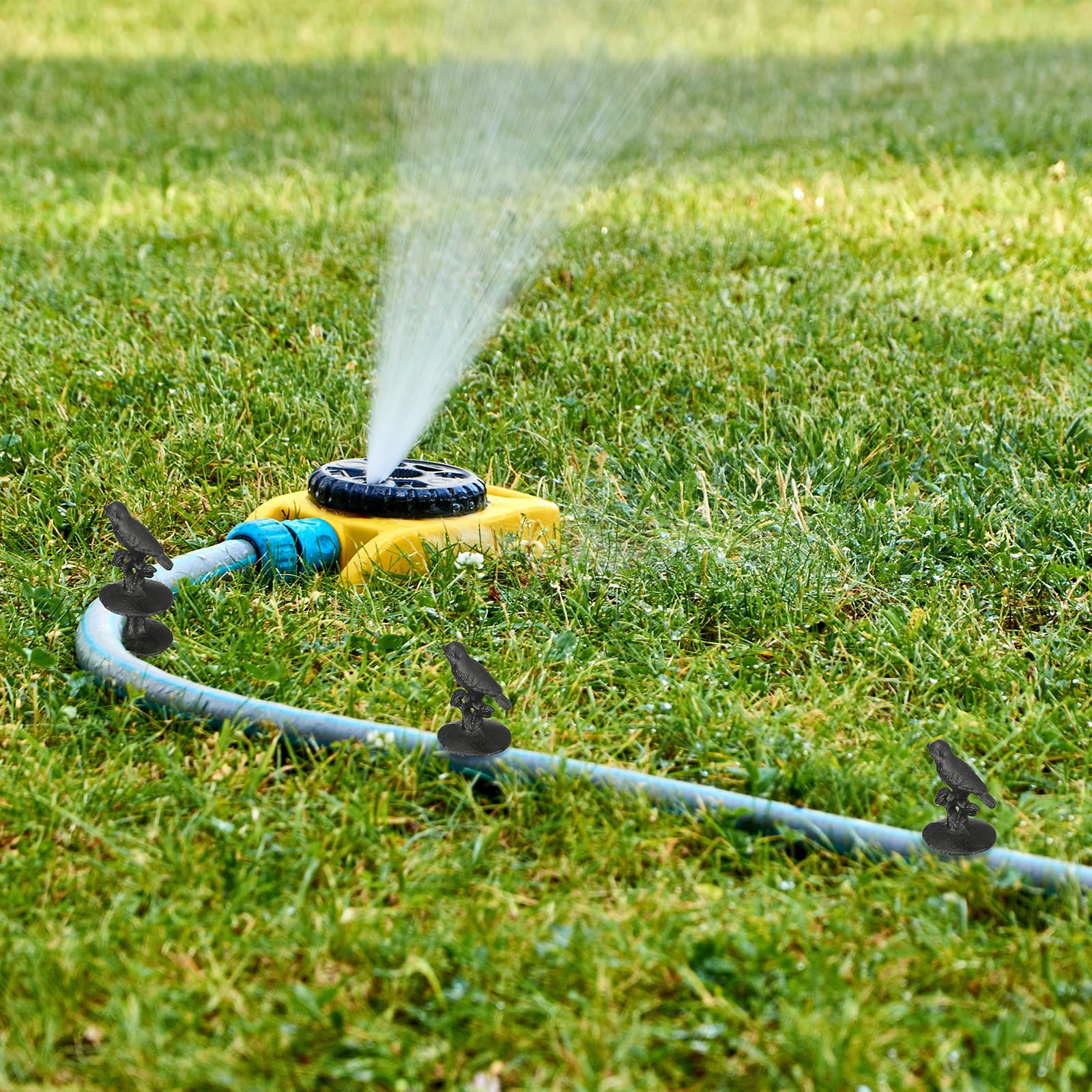 MorningRo installed in flower bed demonstrating plant protection and neat hose guidance benefit
