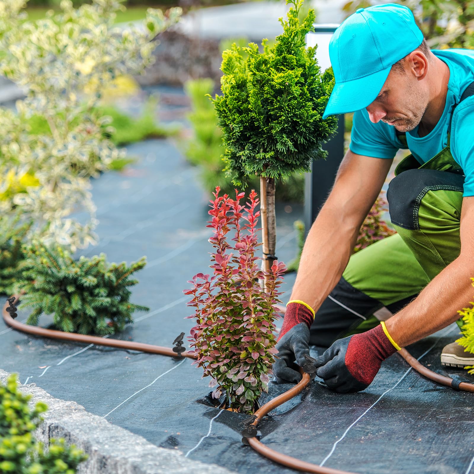 MorningRo pair in lawn setting displaying two guides organizing long hose runs benefit