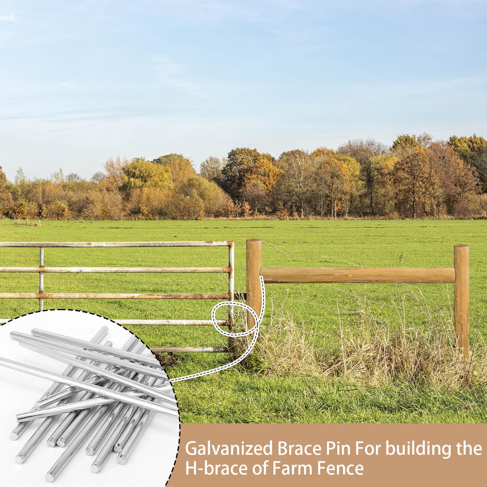 MorningRo pins used on a pasture fence showing reliable outdoor fastening benefit