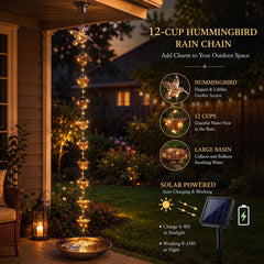 MorningRo waterproof solar light string detail showing lights and nighttime ambiance benefit