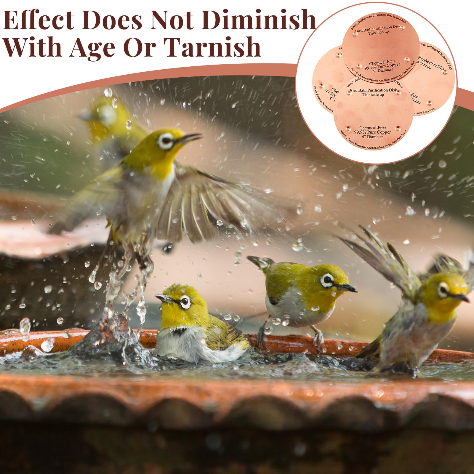 MorningRo discs in garden setting attracting birds and enhancing yard aesthetics
