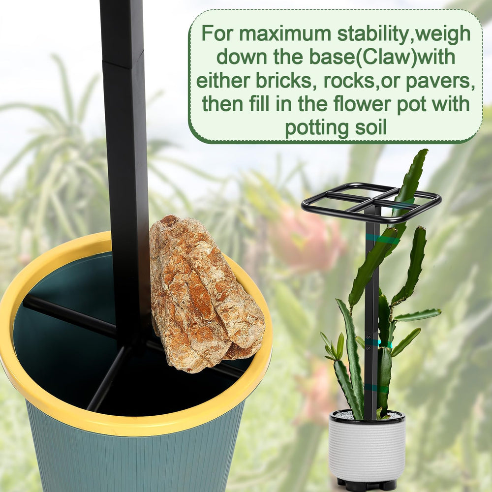 MorningRo trellis close-up of stem tied with stretch tie protecting plant stems