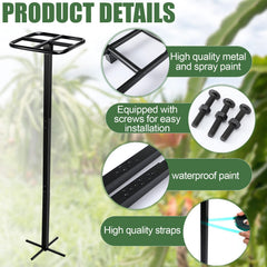 MorningRo trellis in-use with dragon fruit vine demonstrating space-saving vertical growth