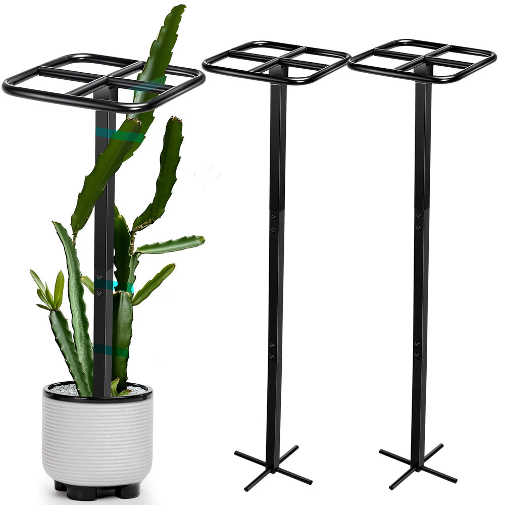 MorningRo trellis displayed on patio creating vertical greenery and saving space