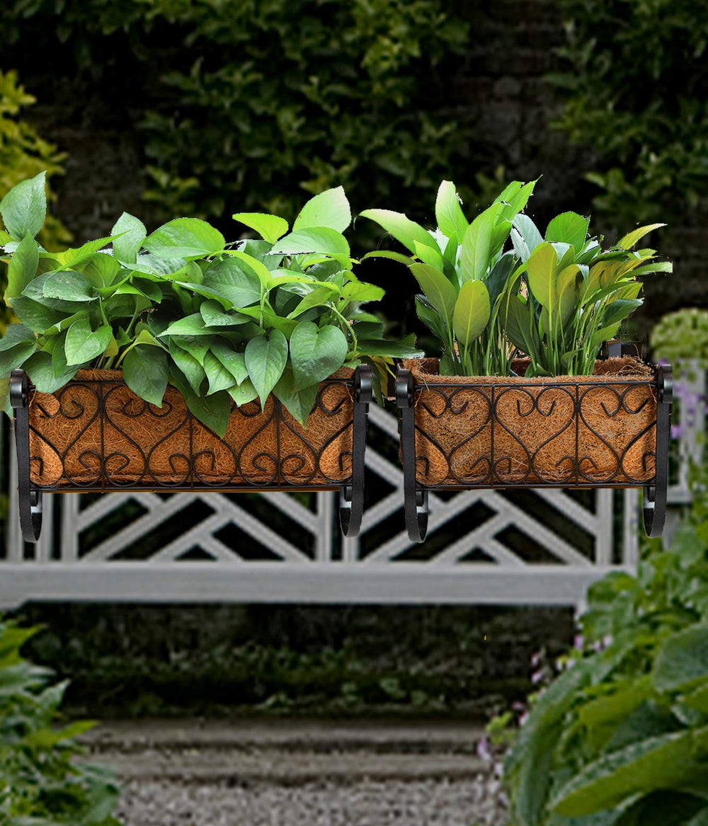 MorTime size comparison with standard nursery pot showing fit and scale advantages