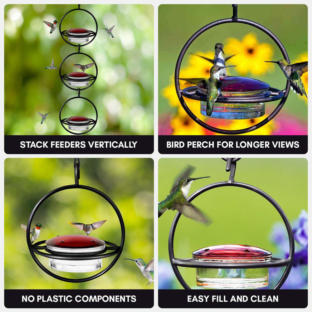 Mosaic Birds circular perch with a hummingbird resting, provides comfortable feeding support