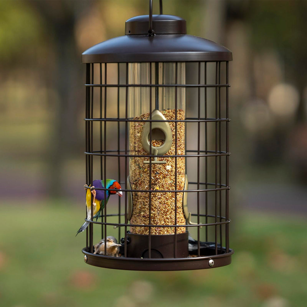 Mosloly hanging in backyard lifestyle shot showing placement benefit and birdwatching appeal
