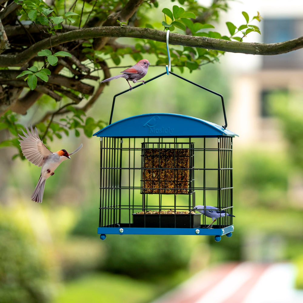 Mosloly cage opening detail showing small-bird-only entry to deter squirrels