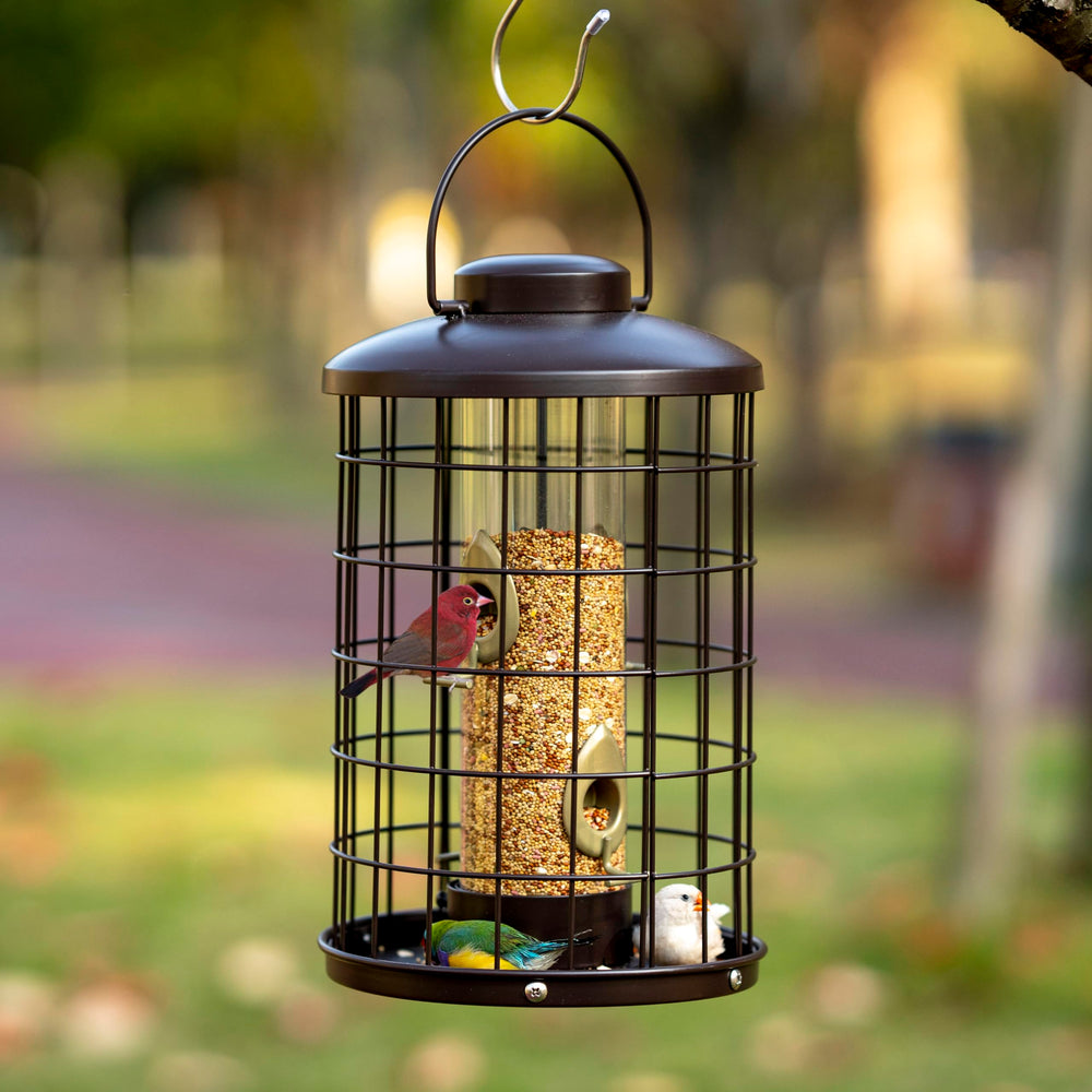 Mosloly closeup feeding ports and cage highlighting pest resistance for better bird access