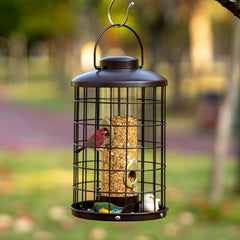 Mosloly closeup feeding ports and cage highlighting pest resistance for better bird access