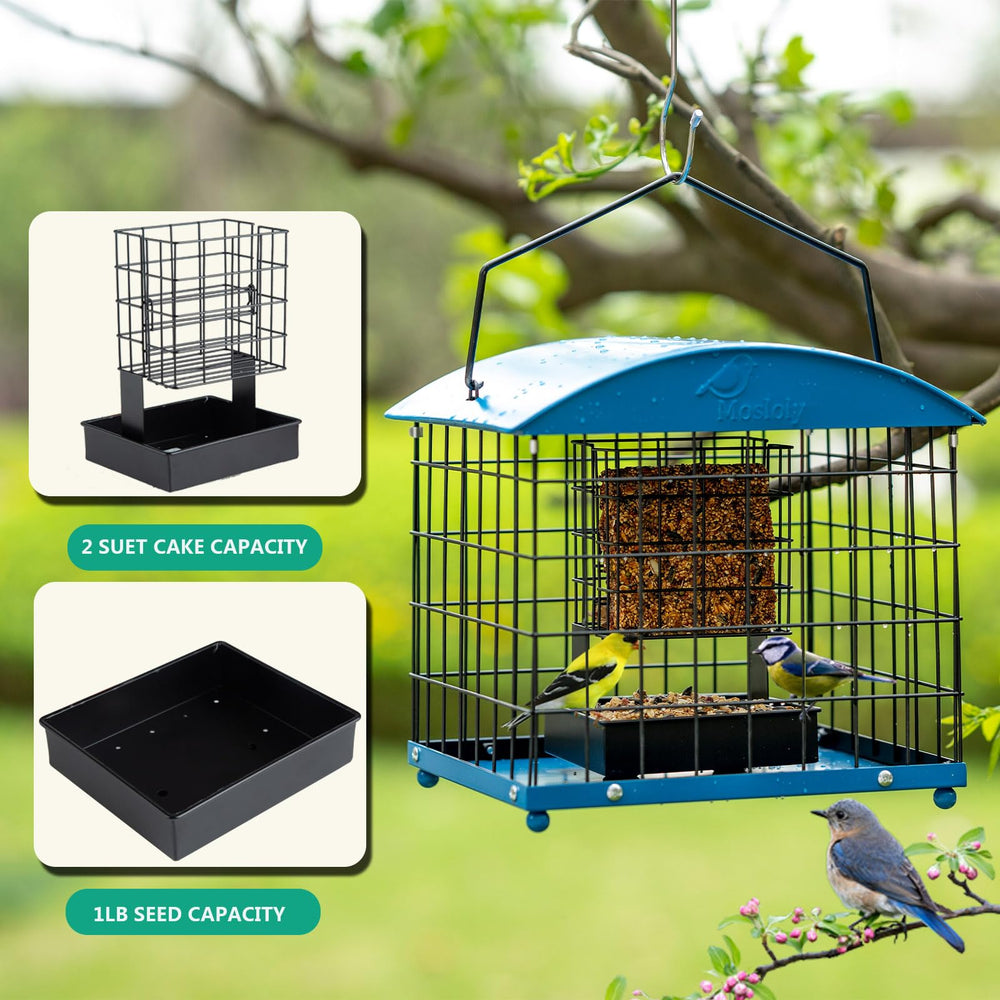 Mosloly feeder with two suet cakes and seed tray showing dual feeding options