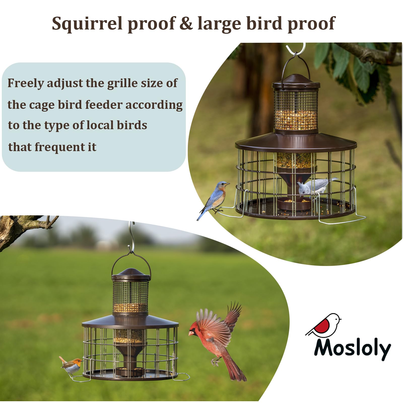 Mosloly feeder hanging from tree in backyard attracting songbirds to yard
