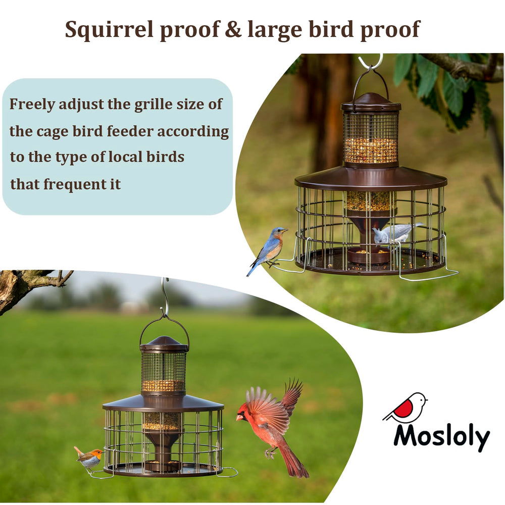 Mosloly feeder hanging from tree in backyard attracting songbirds to yard