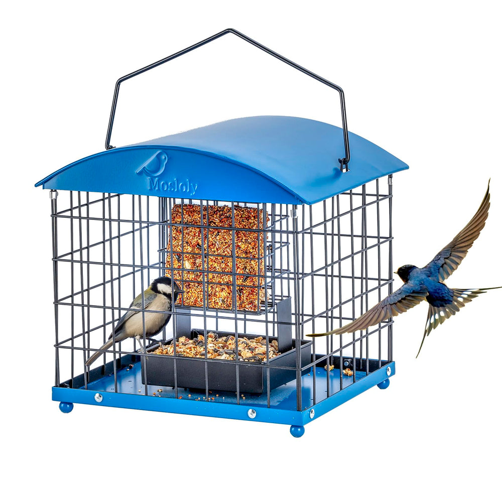 Mosloly front view hanging feeder showing full bird access and protection