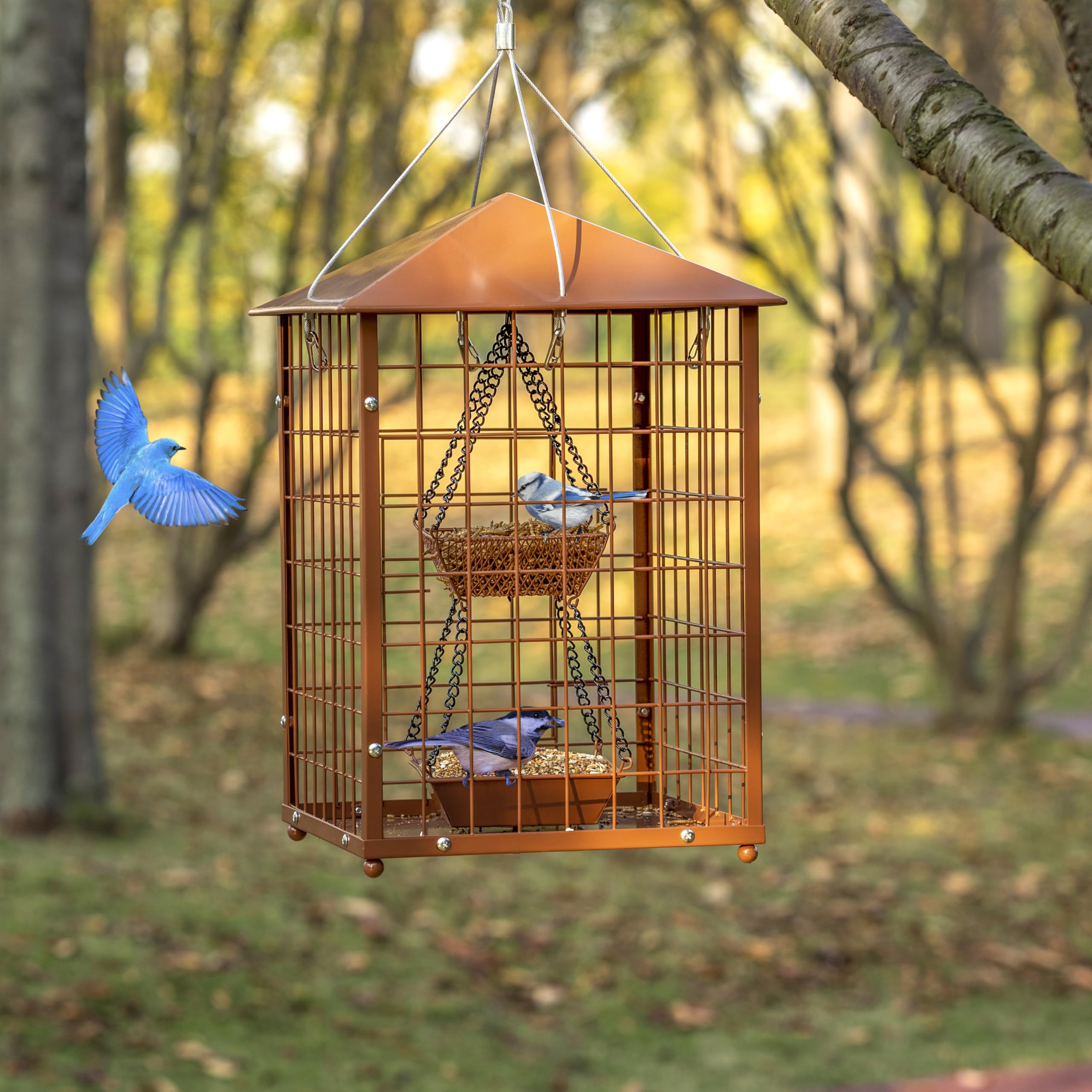 Mosloly garden lifestyle hanging showing placement and benefit: enhances backyard habitat
