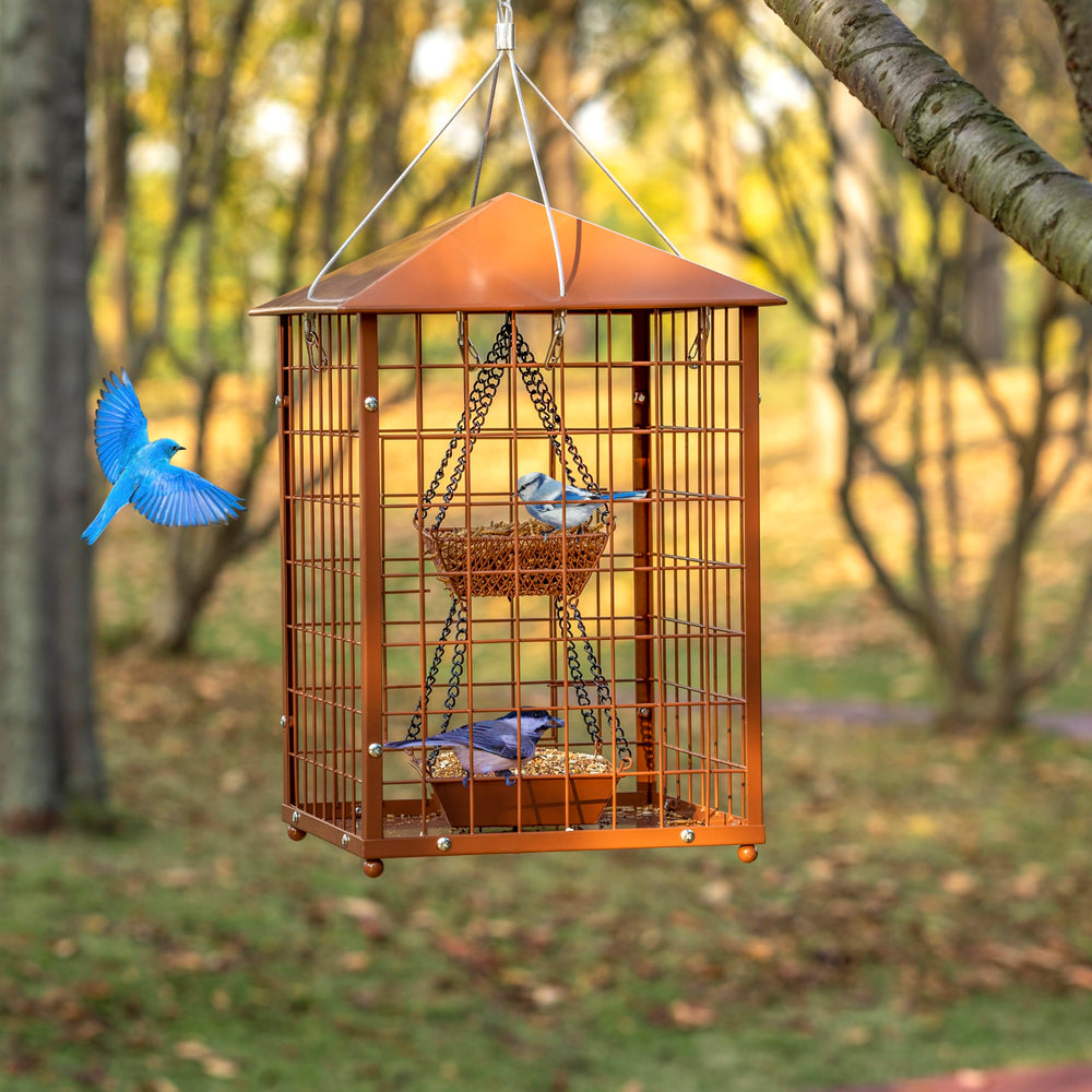 Mosloly garden lifestyle hanging showing placement and benefit: enhances backyard habitat