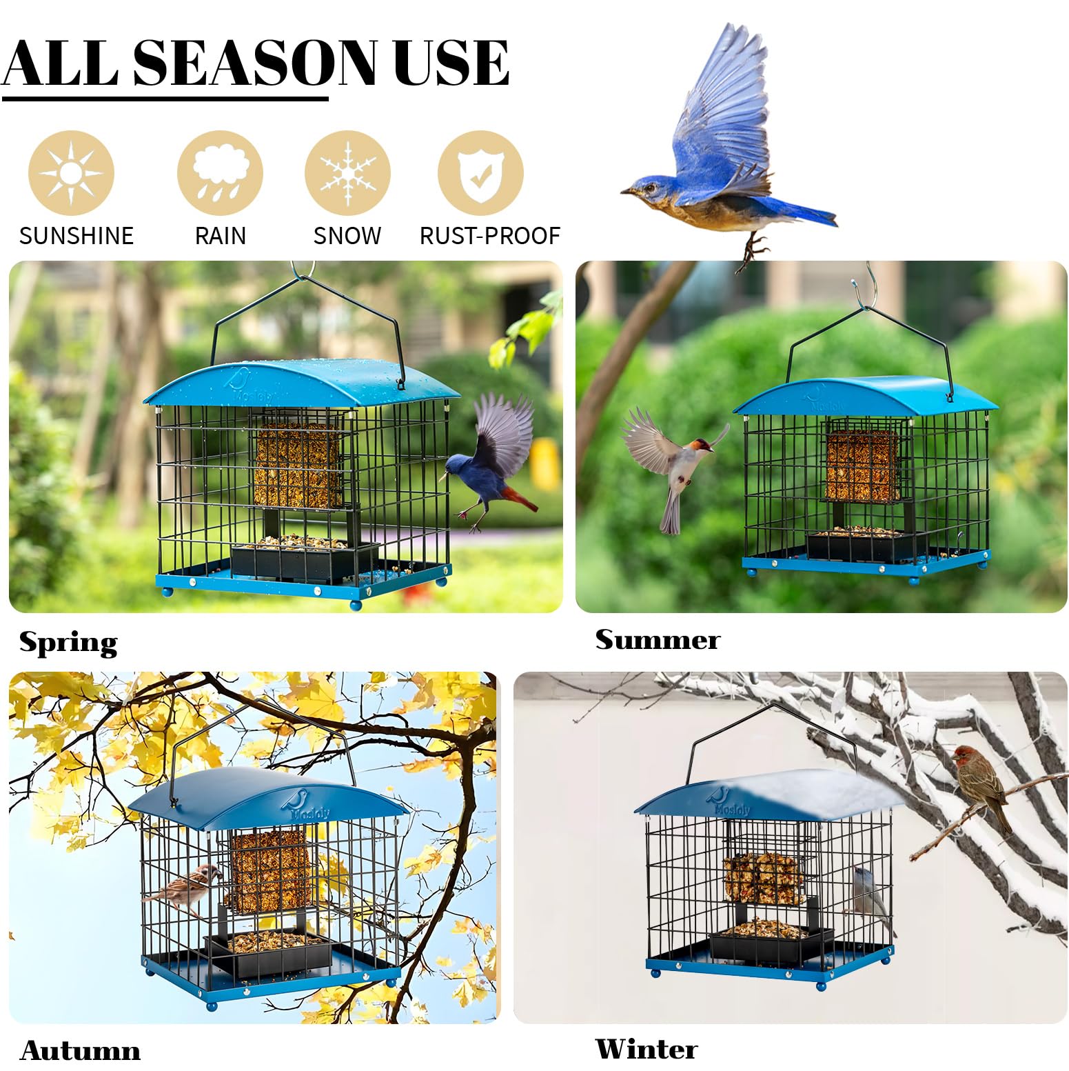 Mosloly in use with small bird feeding showing safer access and visibility