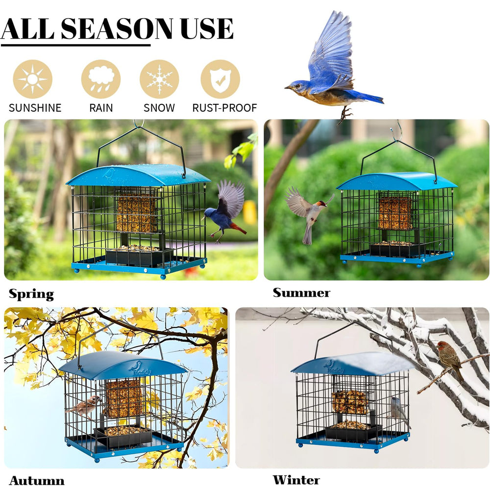 Mosloly in use with small bird feeding showing safer access and visibility