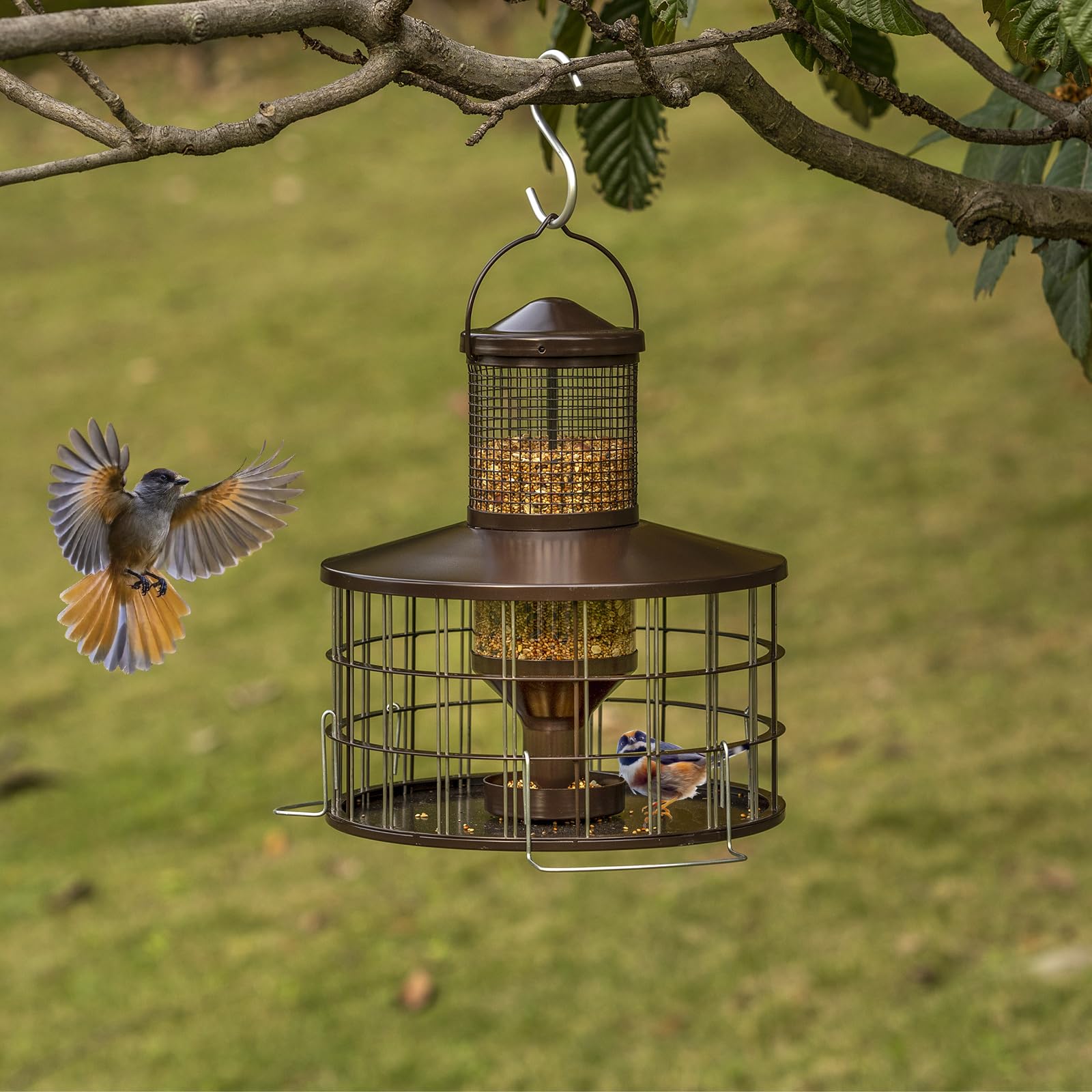 Mosloly feeder in garden with multiple birds feeding, boosts backyard wildlife