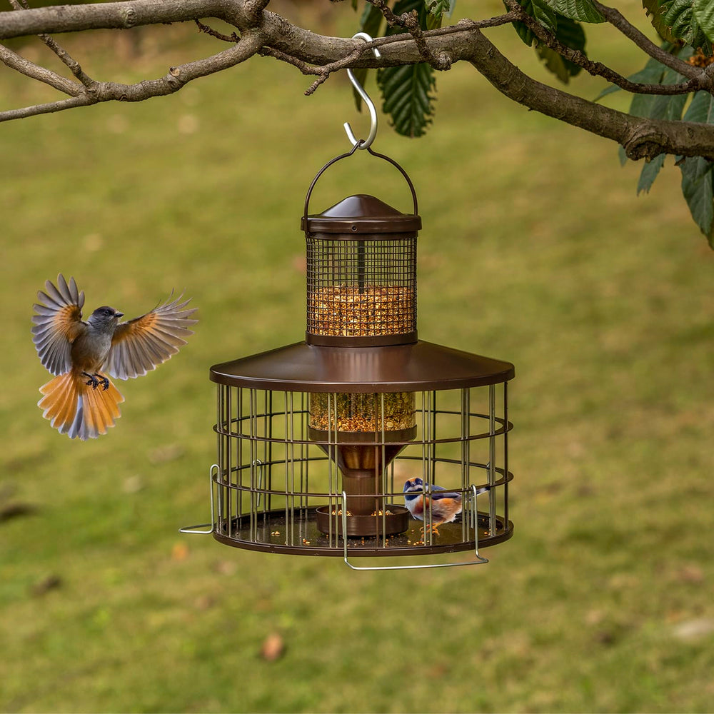 Mosloly feeder in garden with multiple birds feeding, boosts backyard wildlife