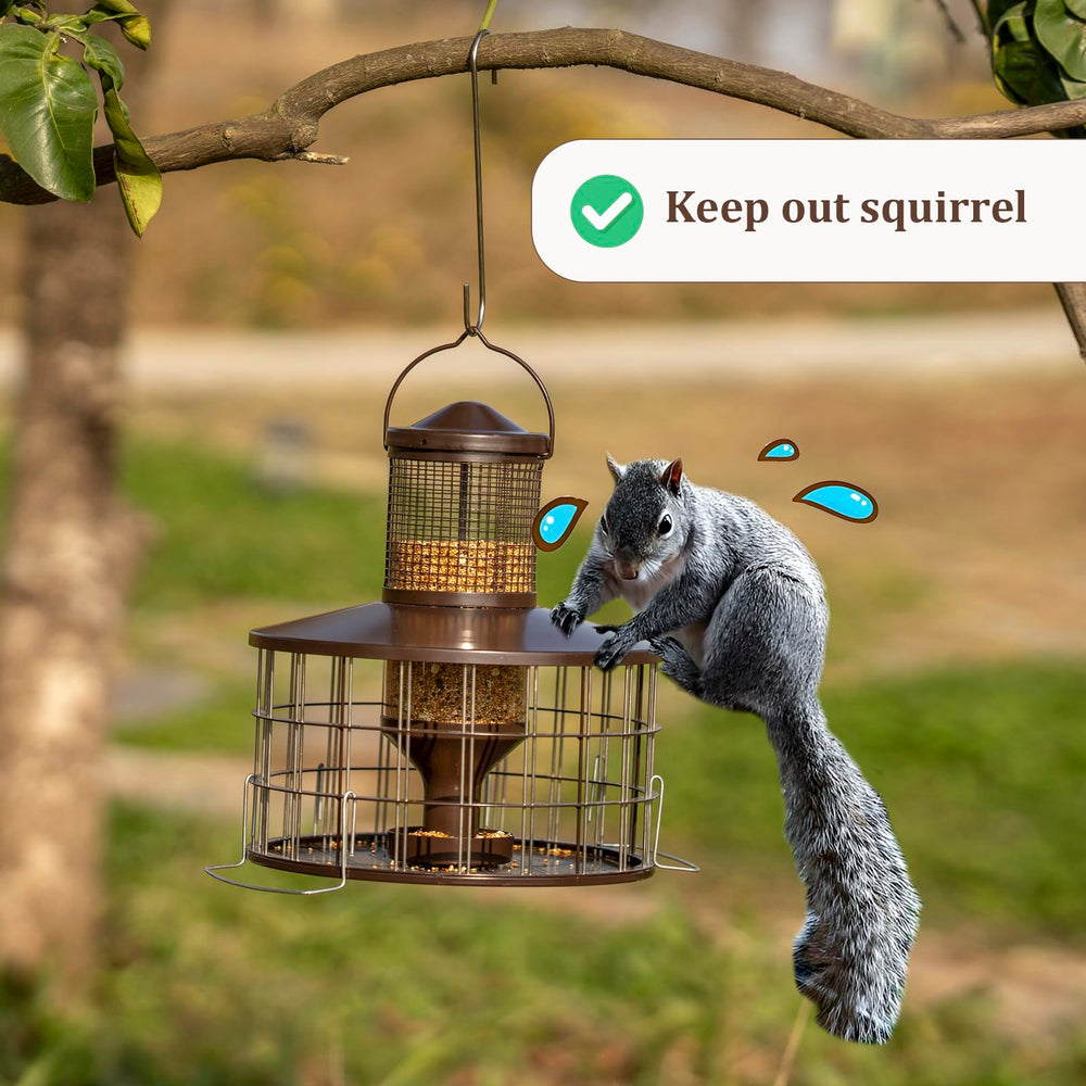 Mosloly feeder held in hand to show 3 lb capacity and compact scale